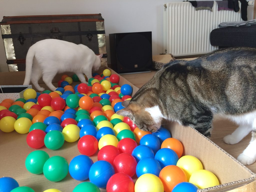 Toys for kids and cats Deaf Darlings
