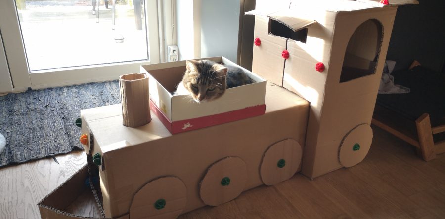 All aboard the kitty train!
